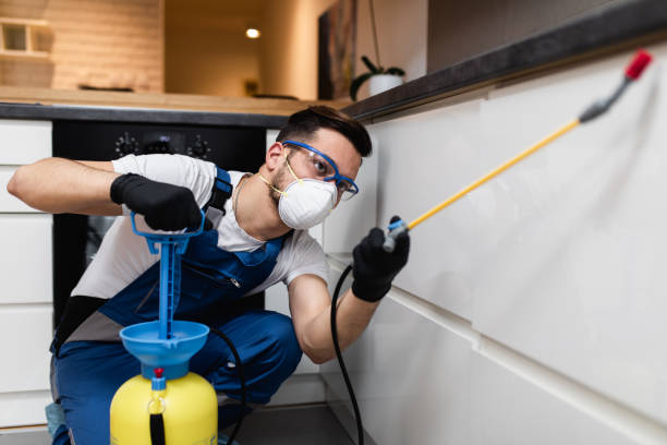 Best Pest Prevention Services  in Dandridge, TN