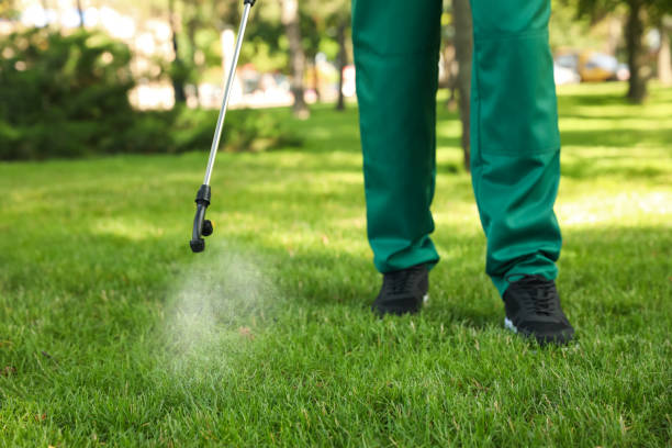 Best Cockroach Control Services  in Dandridge, TN