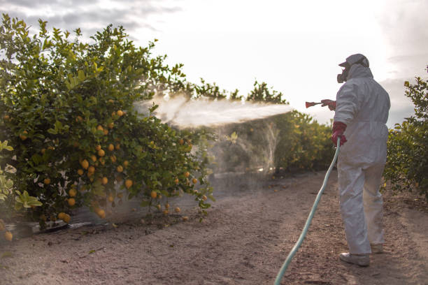 Best Exterminator Services  in Dandridge, TN
