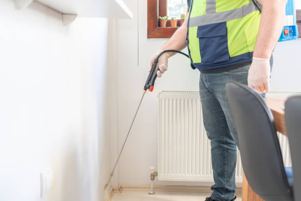 Professional Pest Control in Dandridge, TN