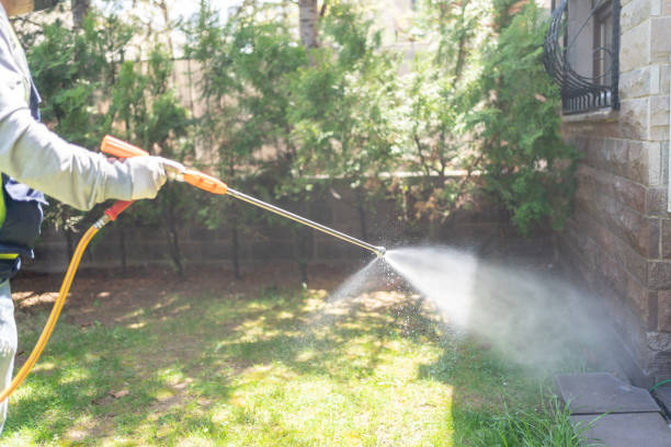 Best Best Pest Control Companies  in Dandridge, TN