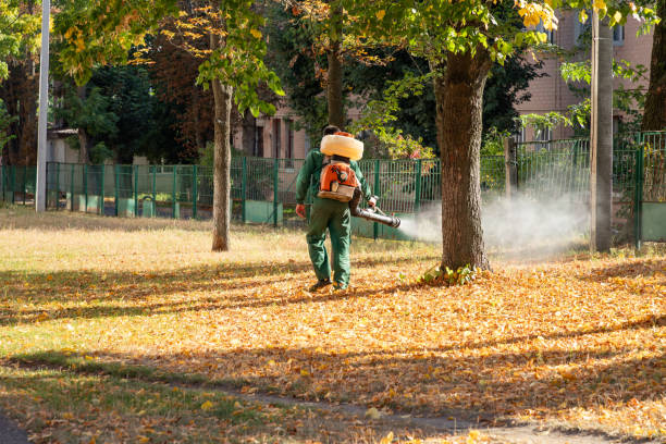 Best Insect Control  in Dandridge, TN